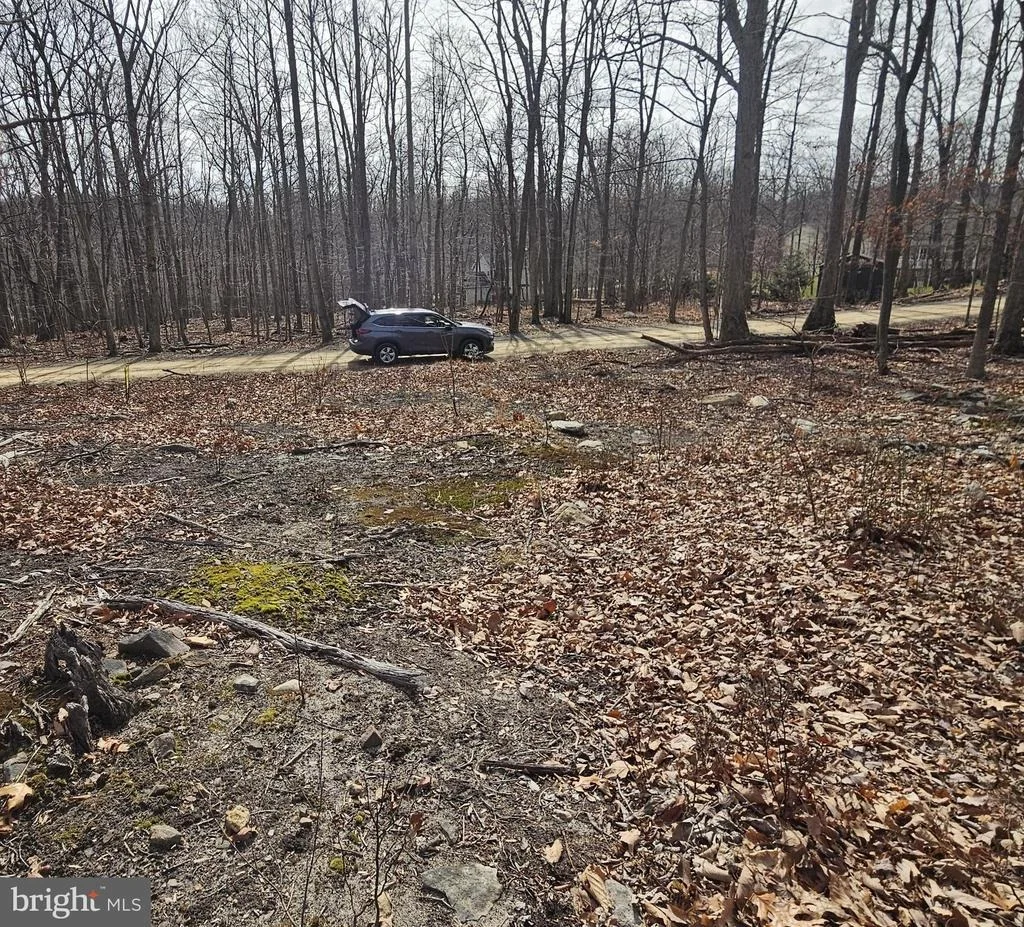 Photo of 825 PANTHER DRIVE