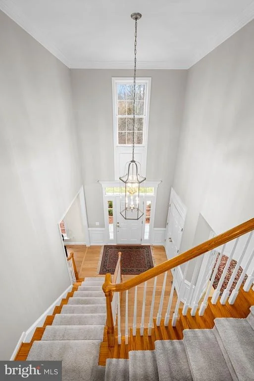 Photo of 8068 PAPER BIRCH DRIVE