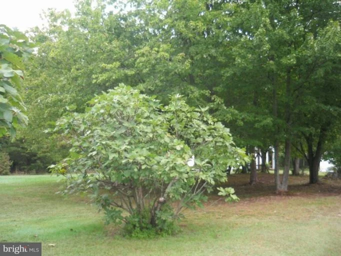Photo of 10565 LIMMERICK DRIVE