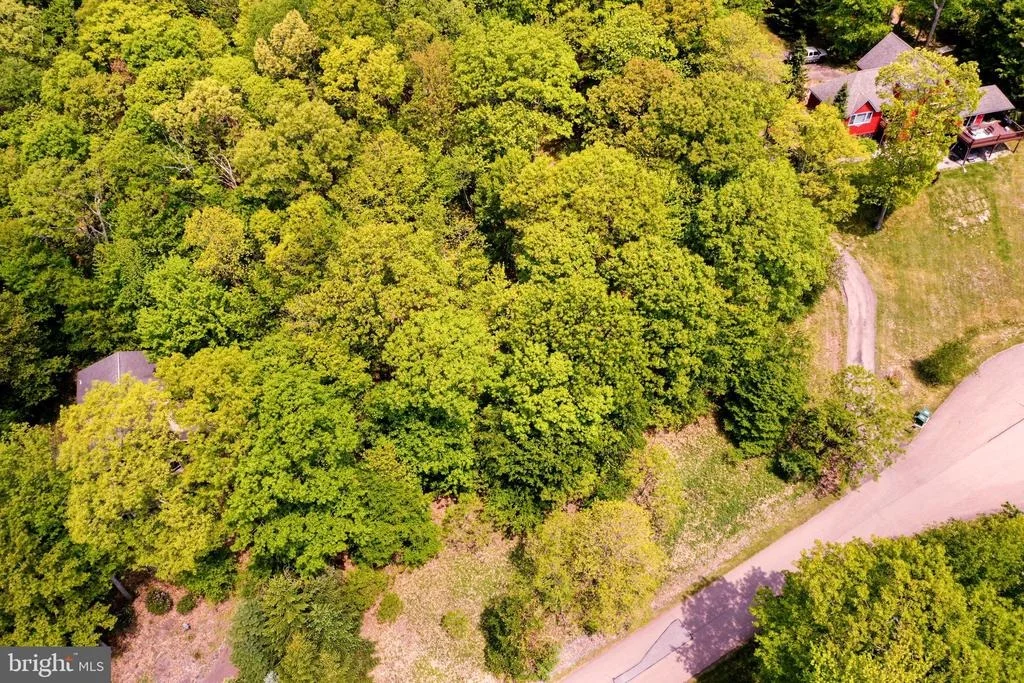 Photo of Lot 4 PRIMO VISTA DRIVE