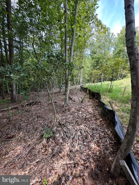 Photo of Lot 150, PRESIDENTIAL LAKES