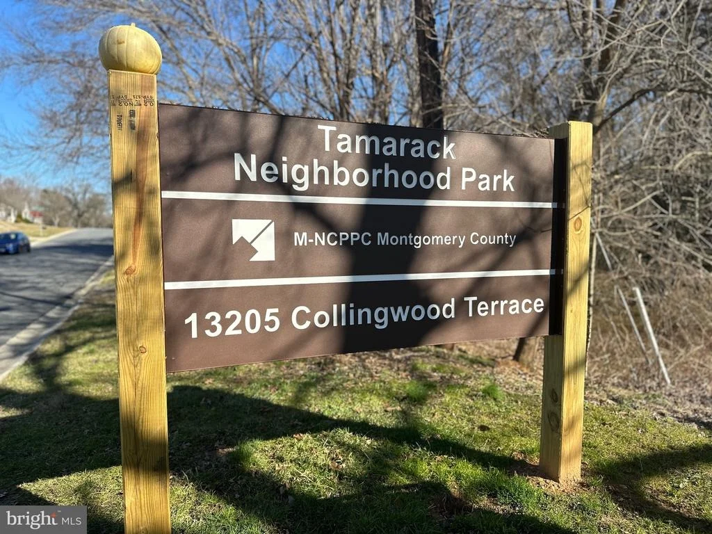 Photo of 13201 COLLINGWOOD TERRACE