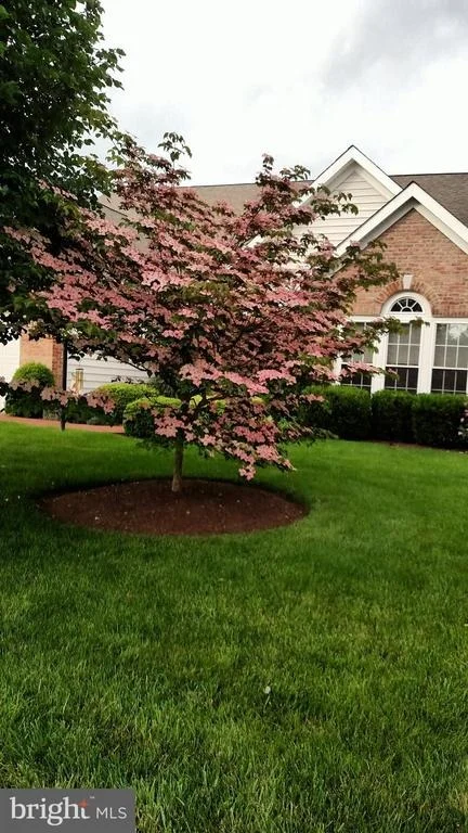 Photo of 13676 PADDOCK COURT