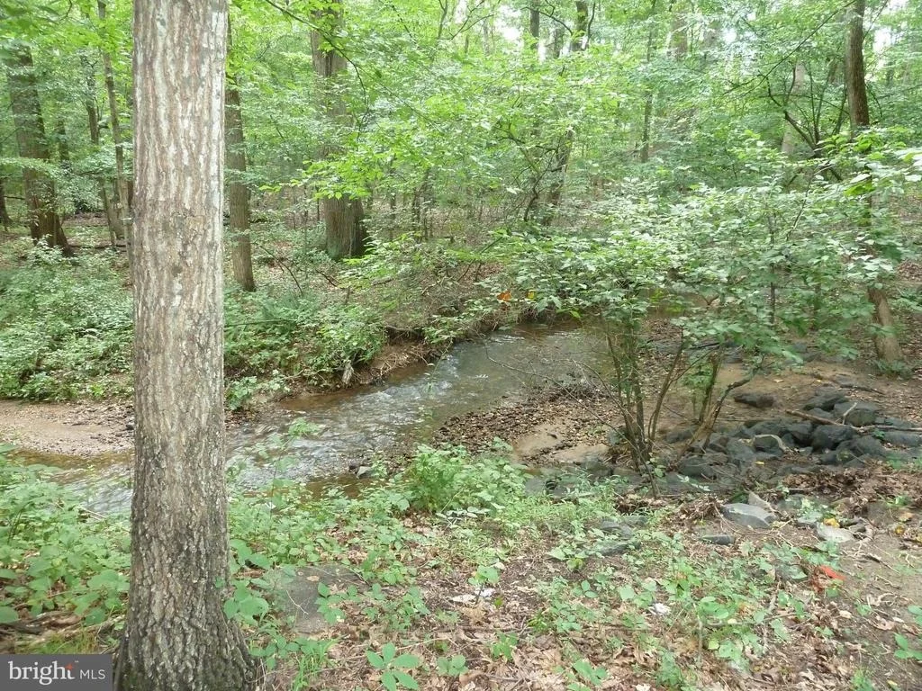 Photo of 3404 OLIVE BRANCH DRIVE