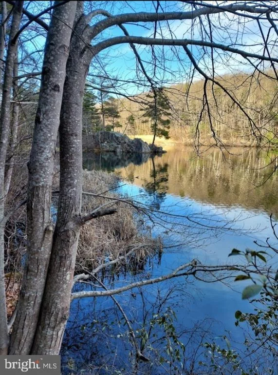 Photo of 462 TROUT STREAM ROAD