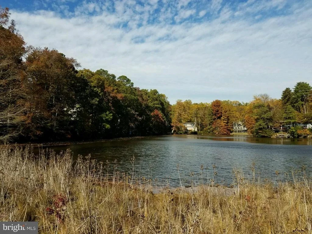 Photo of 13158 RIVER VIEW DRIVE