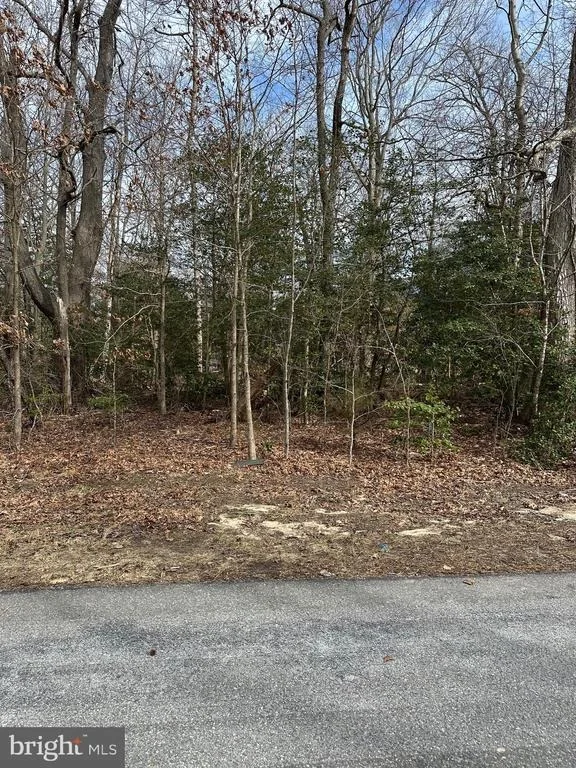 Photo of 733 SKYVIEW DRIVE
