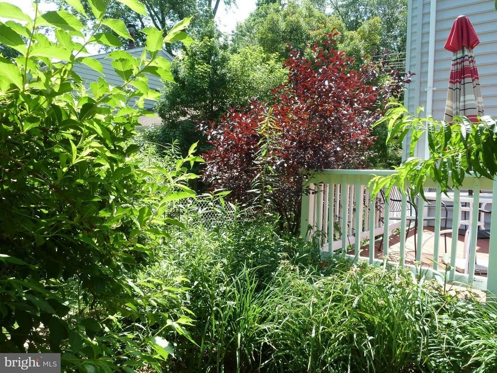 Photo of 4254 BRIARS ROAD