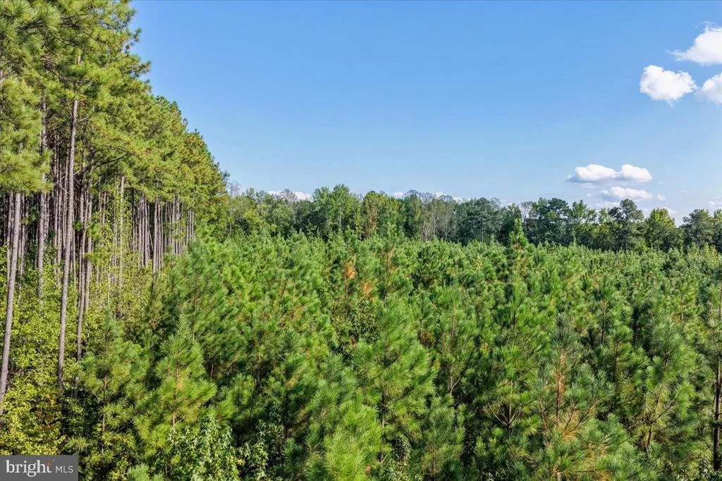 Photo of Lot 7 & 8 COUNTY POND ROAD