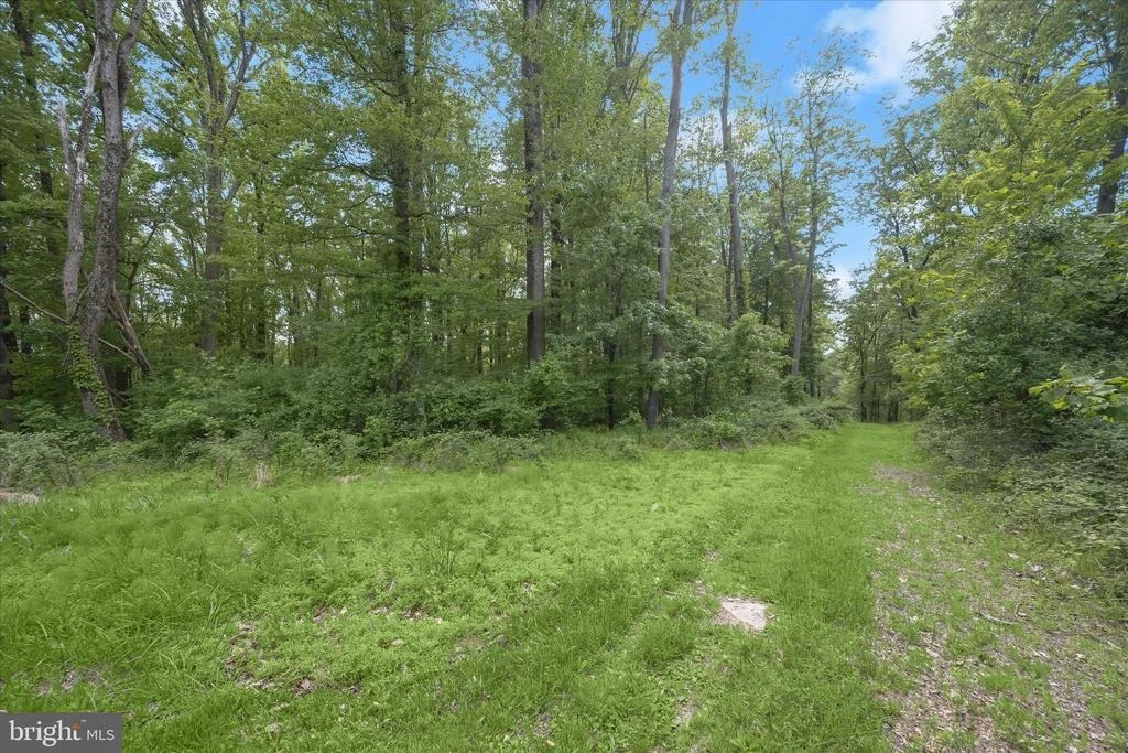 Photo of 2994 FALLS RUN ROAD