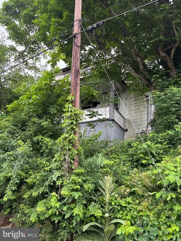 Photo of 13 DUDLEY STREET