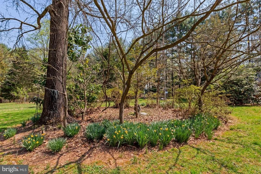 Photo of 17335 DONORA ROAD