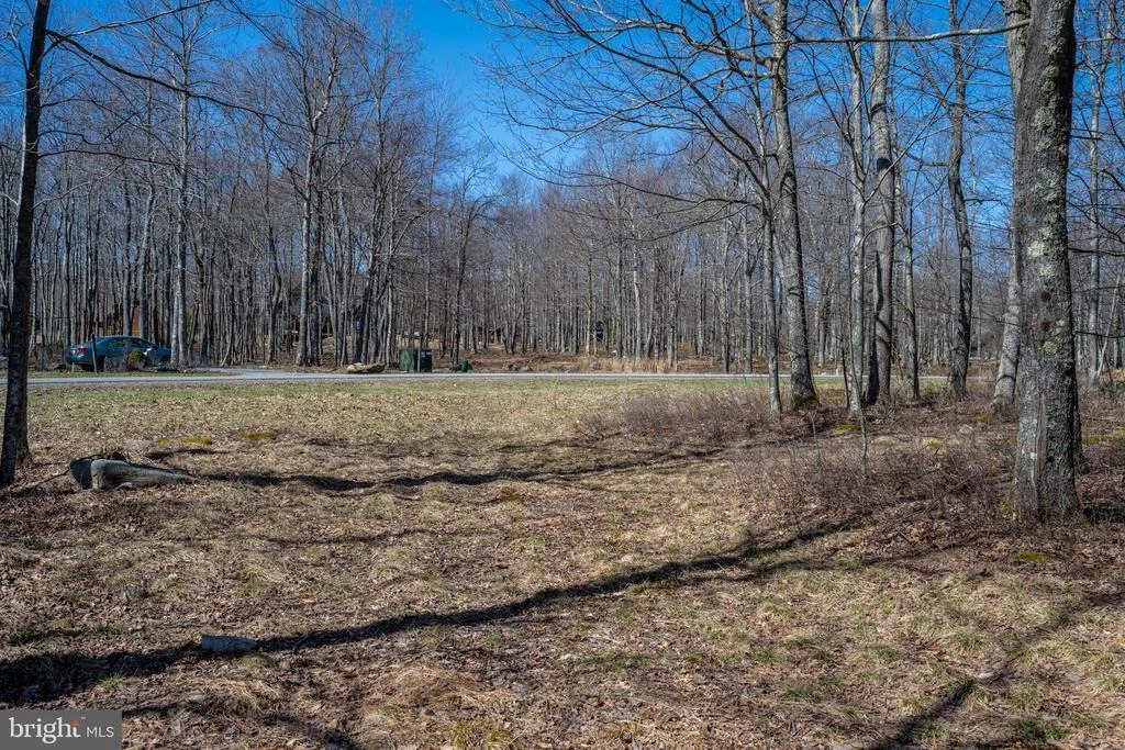 Photo of 36 FERN LOOP