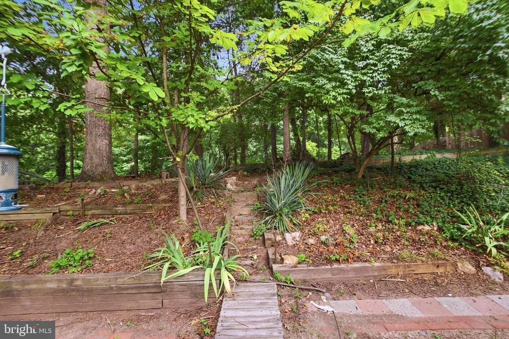 Photo of 8804 STRAUSE COURT
