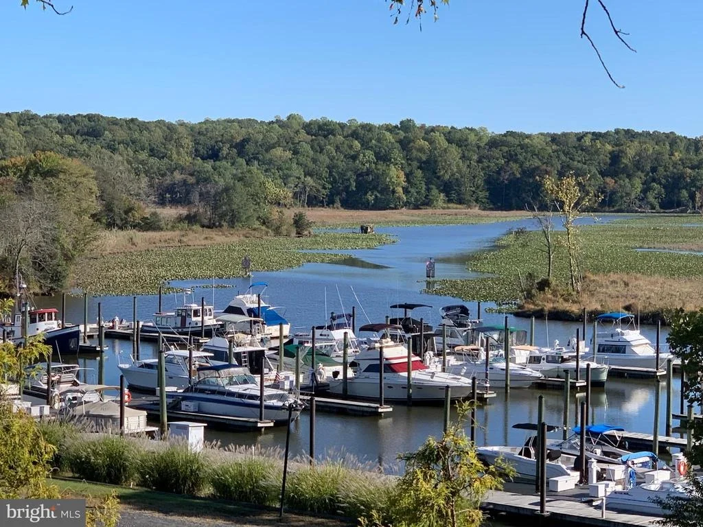 Photo of 2008 WAVE DRIVE