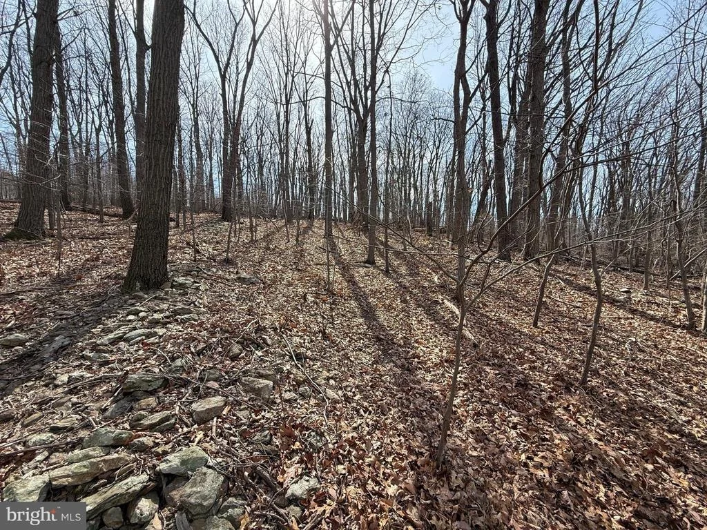 Photo of 2849 MANCHESTER ROAD
