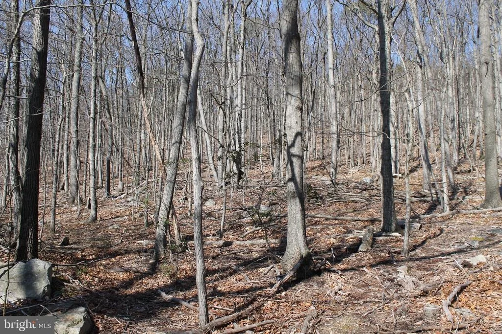 Photo of 288 FOX RUN LANE