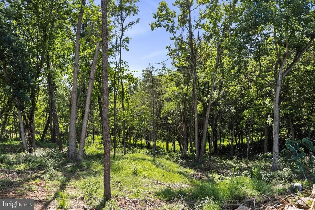 Photo of BELLA VISTA SUBDIVISION - SECTION 2, LOT 24
