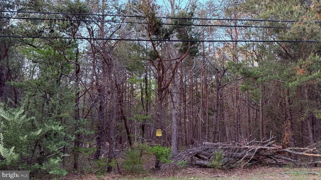 Photo of 0 W FACTORY ROAD