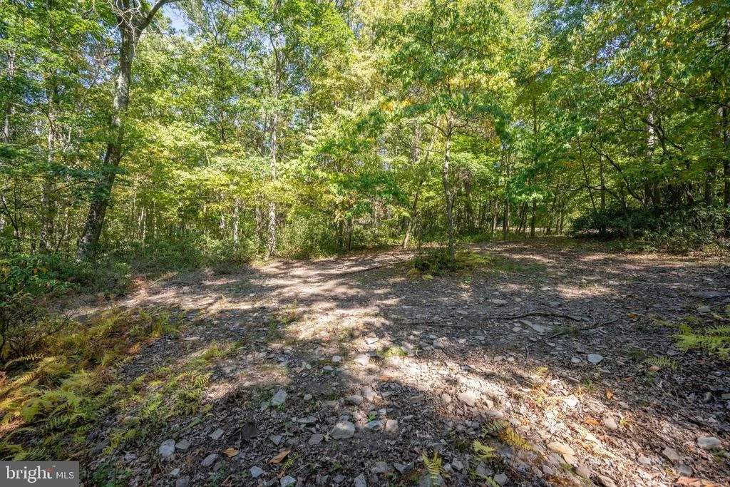 Photo of LOT 9 NORMAS WAY