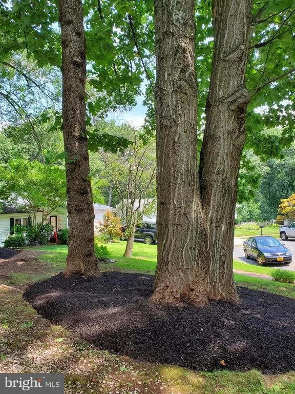 Photo of 12604 MILLBANK WAY