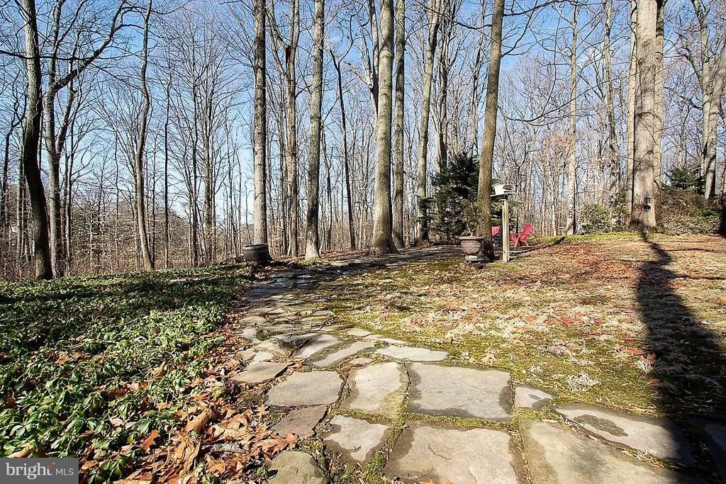 Photo of 5316 THUNDER HILL ROAD