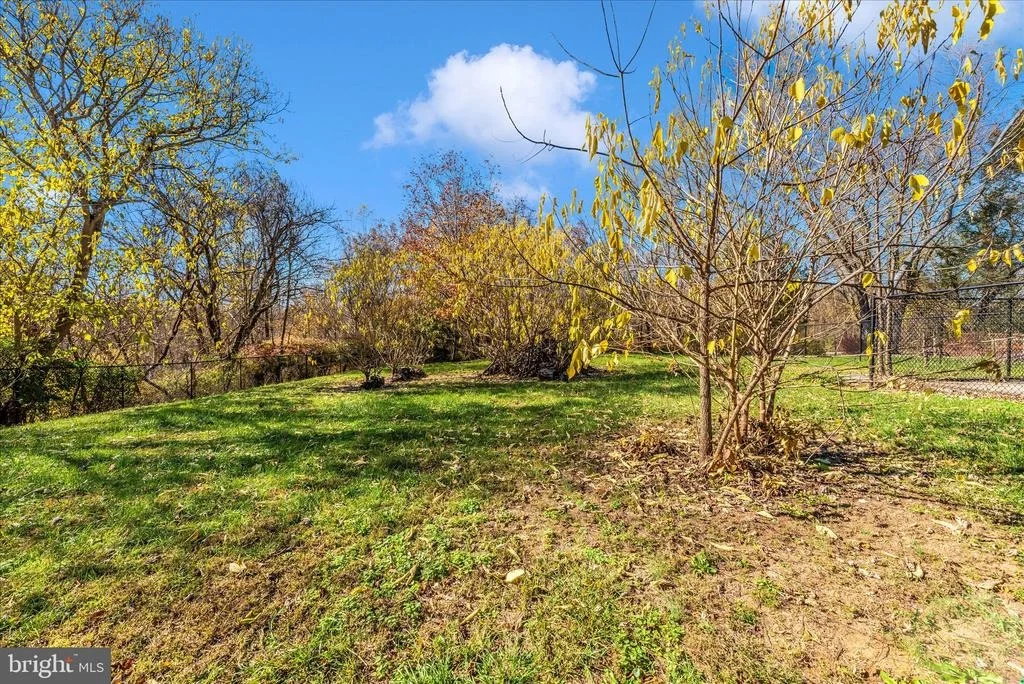 Photo of 21810 BIG WOODS ROAD