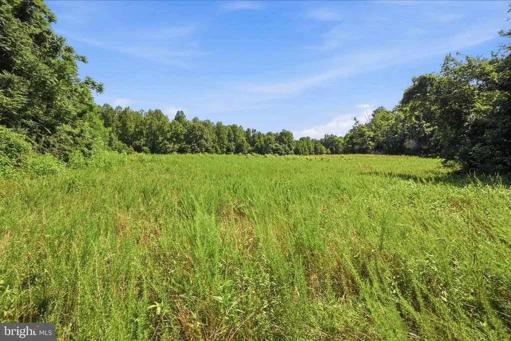 Photo of 13729 MARTIN ROAD