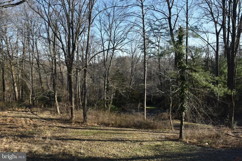 Photo of 1305 MERCHANT LANE