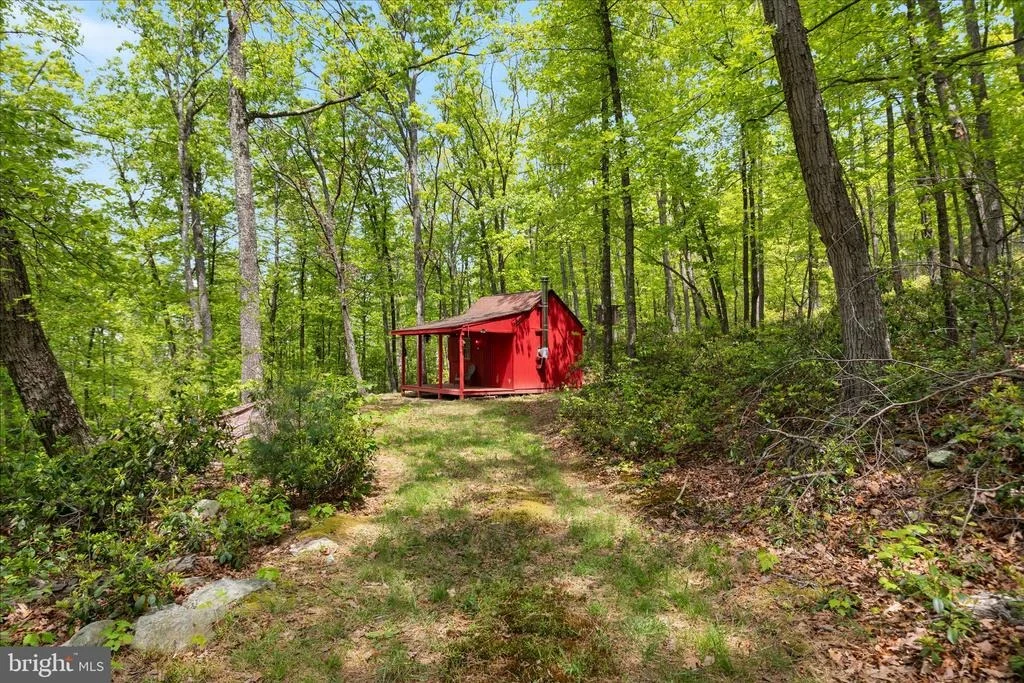 Photo of 551 SAWLOG