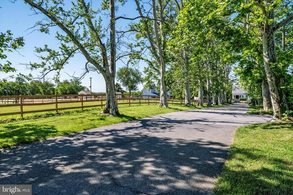 Photo of 596 FOREST VIEW ROAD