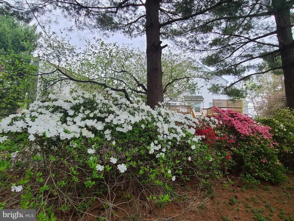 Photo of 2321 PONDSIDE TERRACE