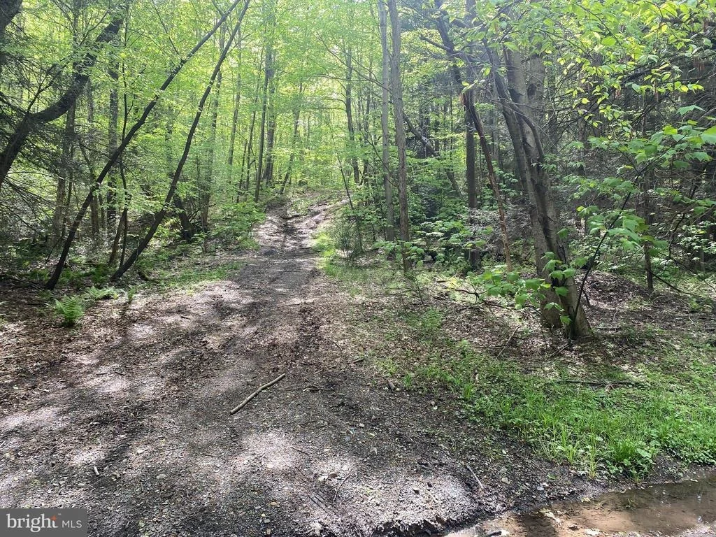 Photo of Lot 3 DEER RUN ROAD