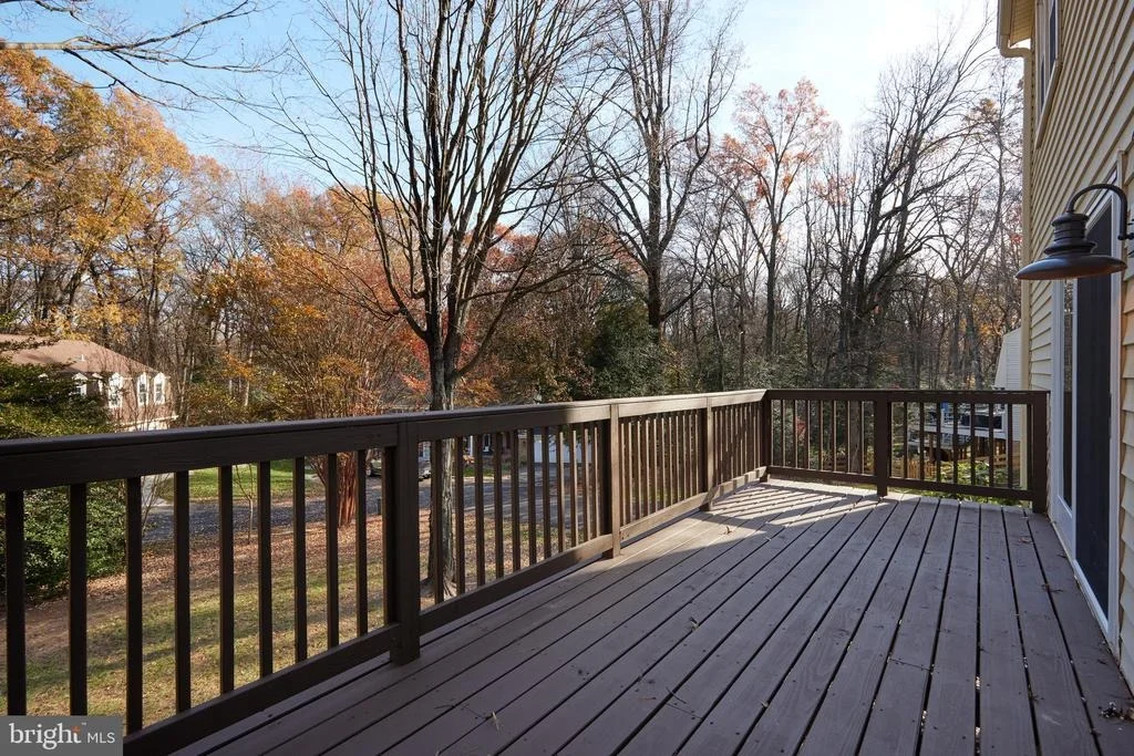 Photo of 11802 GREY BIRCH PLACE