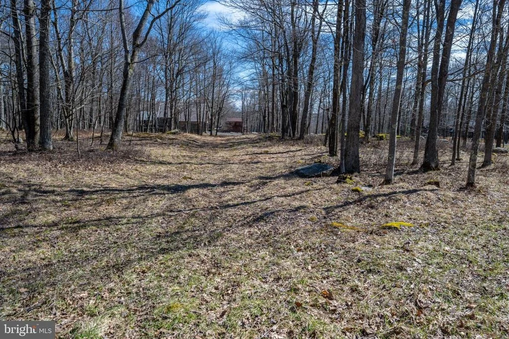 Photo of 36 FERN LOOP
