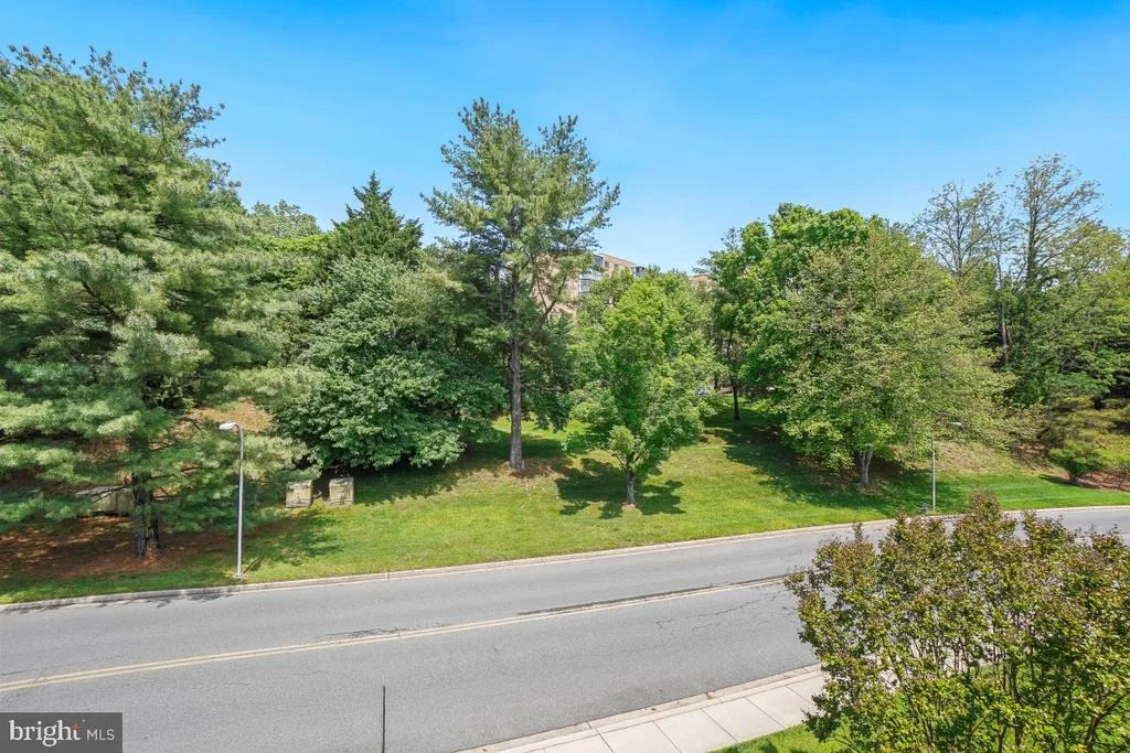 Photo of Unit 173C at 3511 FOREST EDGE DRIVE