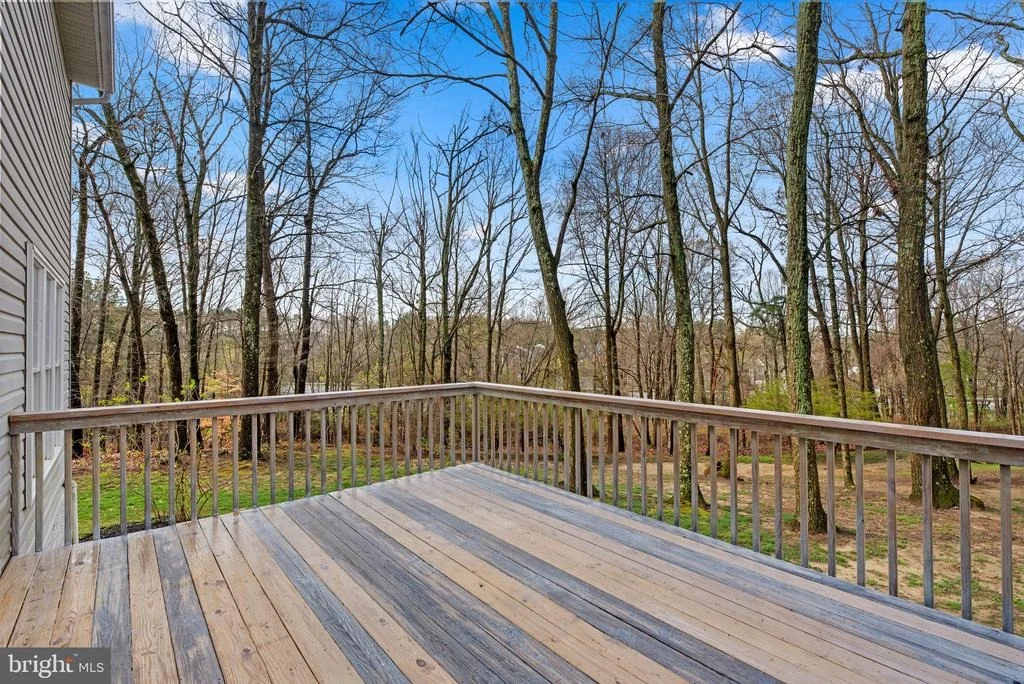 Photo of 1525 SAPPINGTON DRIVE