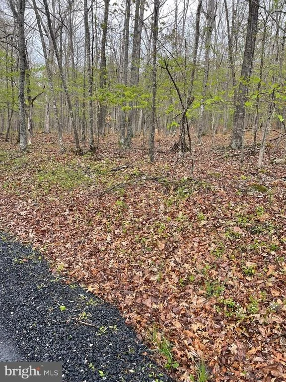 Photo of 462 TROUT STREAM ROAD