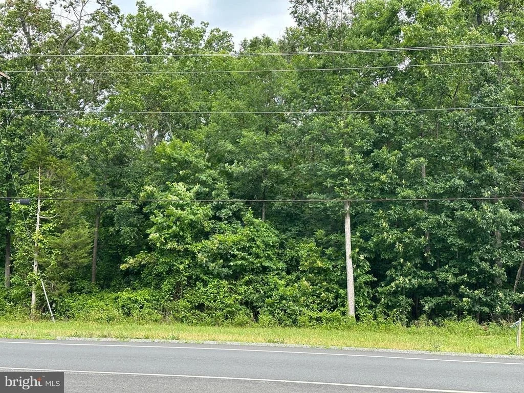 Photo of 7503 JAMES MADISON HIGHWAY