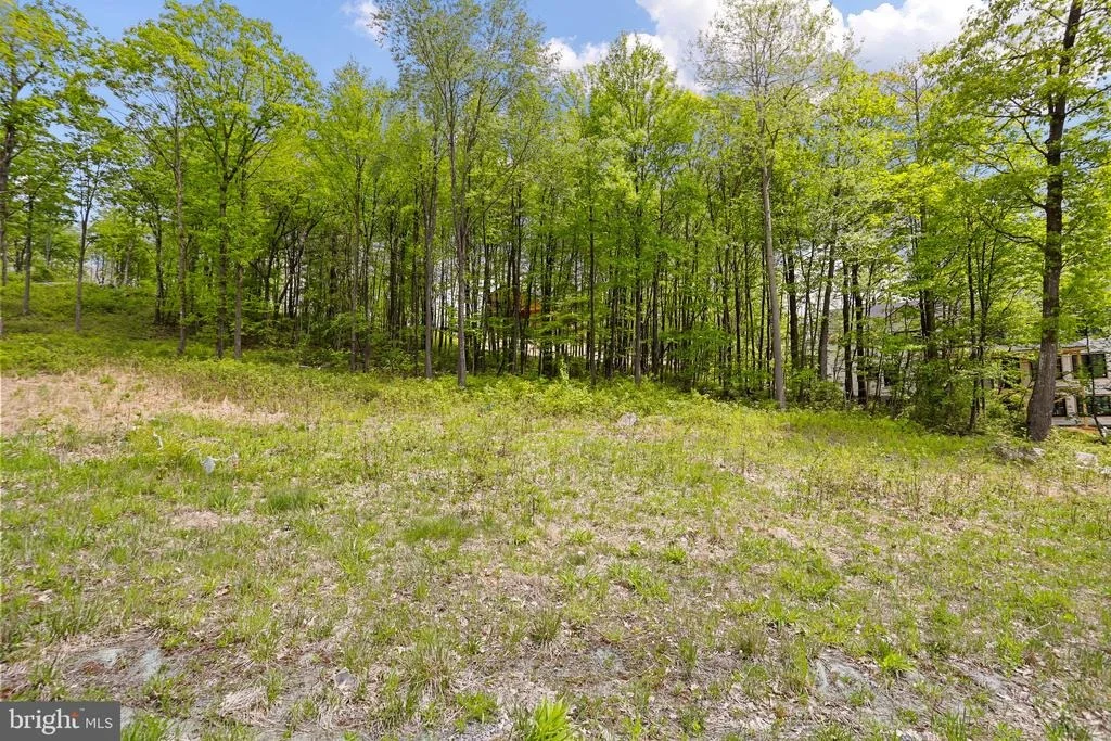 Photo of Lot 68 NORTH CAMP ROAD