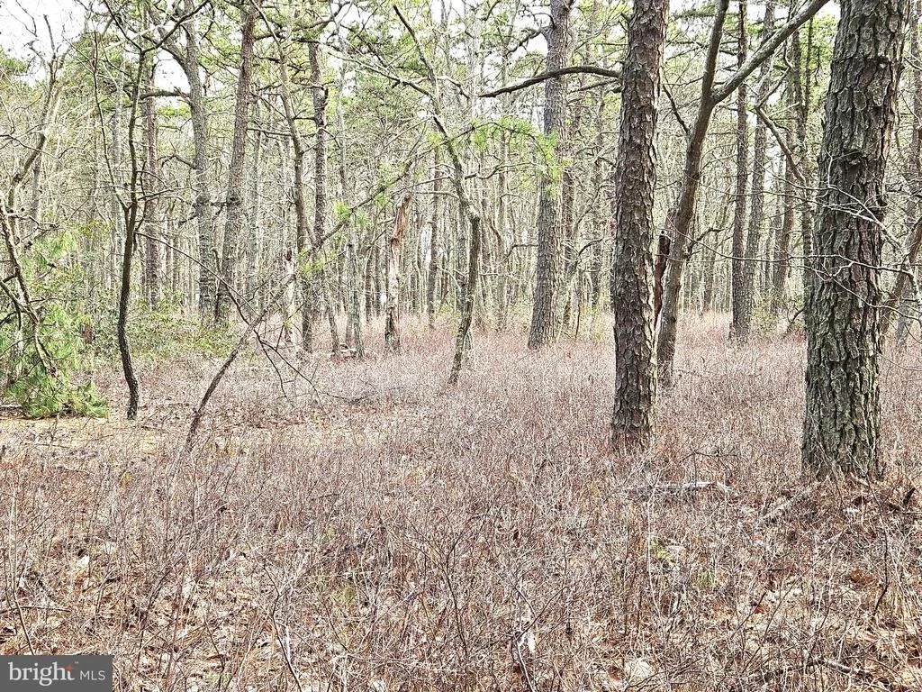 Photo of 0 BIRCHWOOD