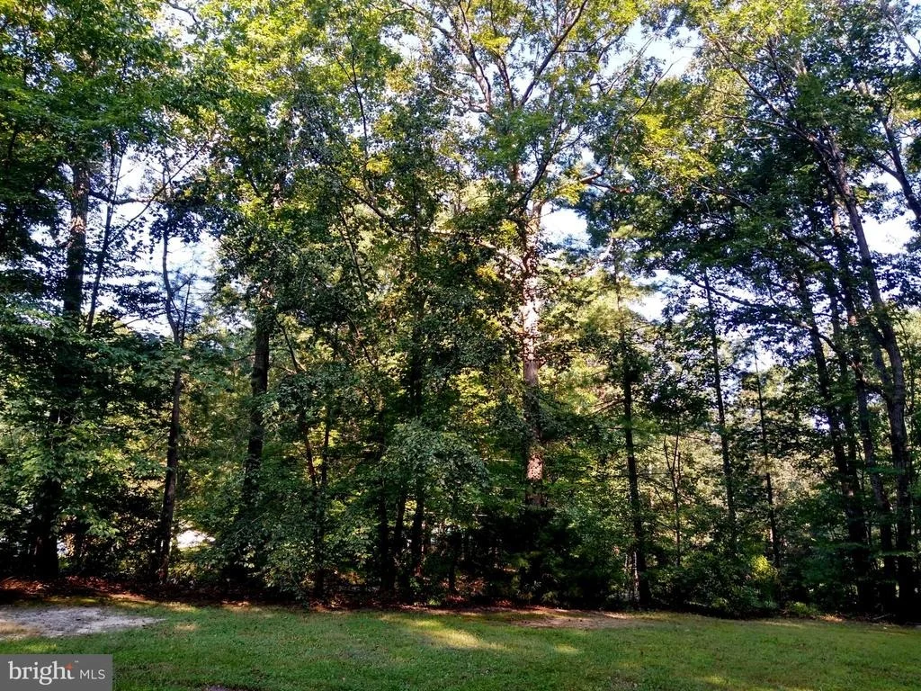 Photo of 12227 LARCH LANE