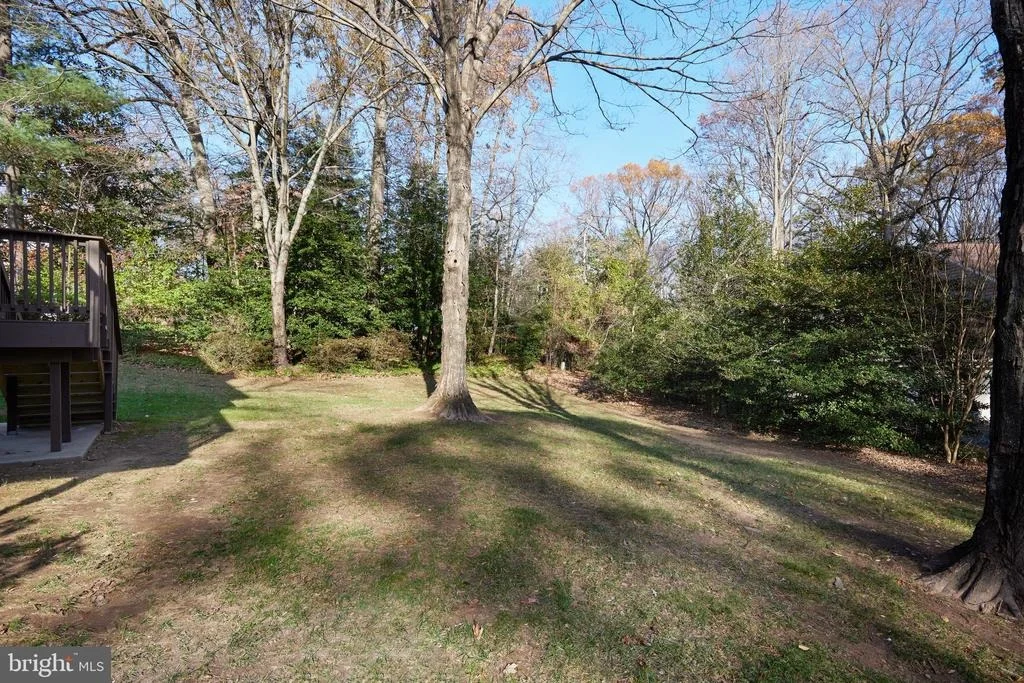 Photo of 11802 GREY BIRCH PLACE