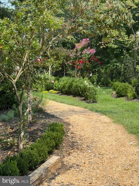 Photo of 11610 KAREN DRIVE