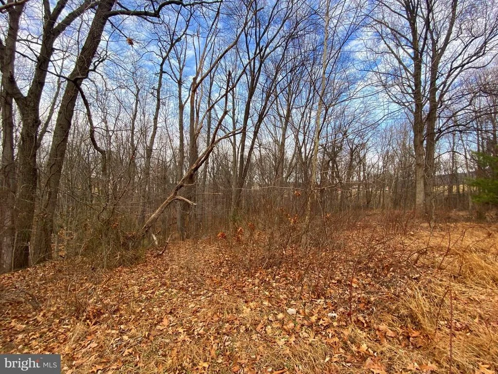 Photo of 2052 HOFFMASTER ROAD