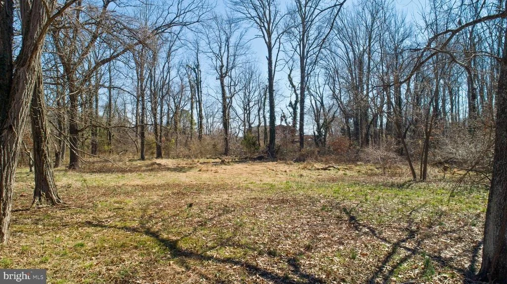 Photo of 5911 TYLER ROAD