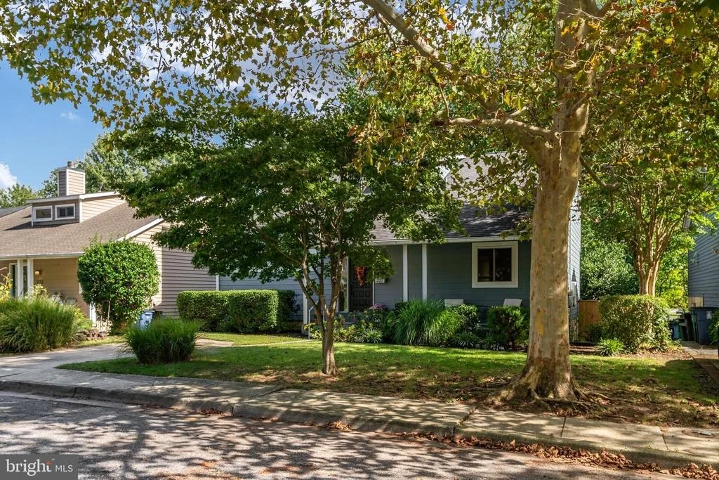 Photo of 237 CHATHAM LANE