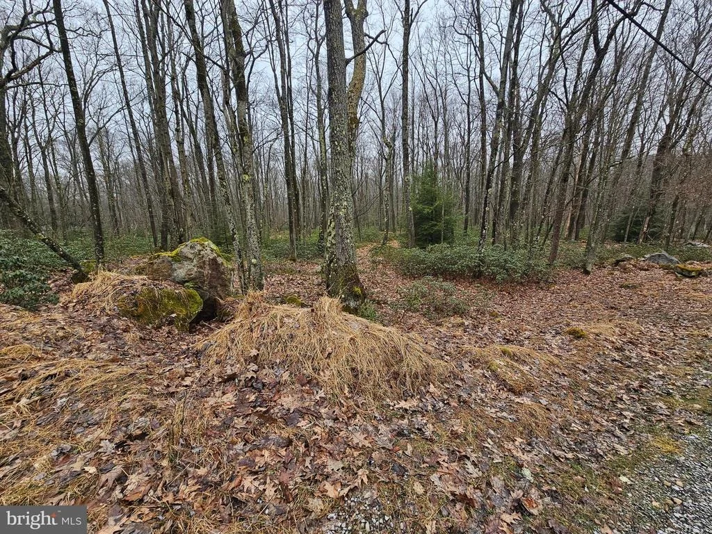 Photo of 6 CEDAR LANE