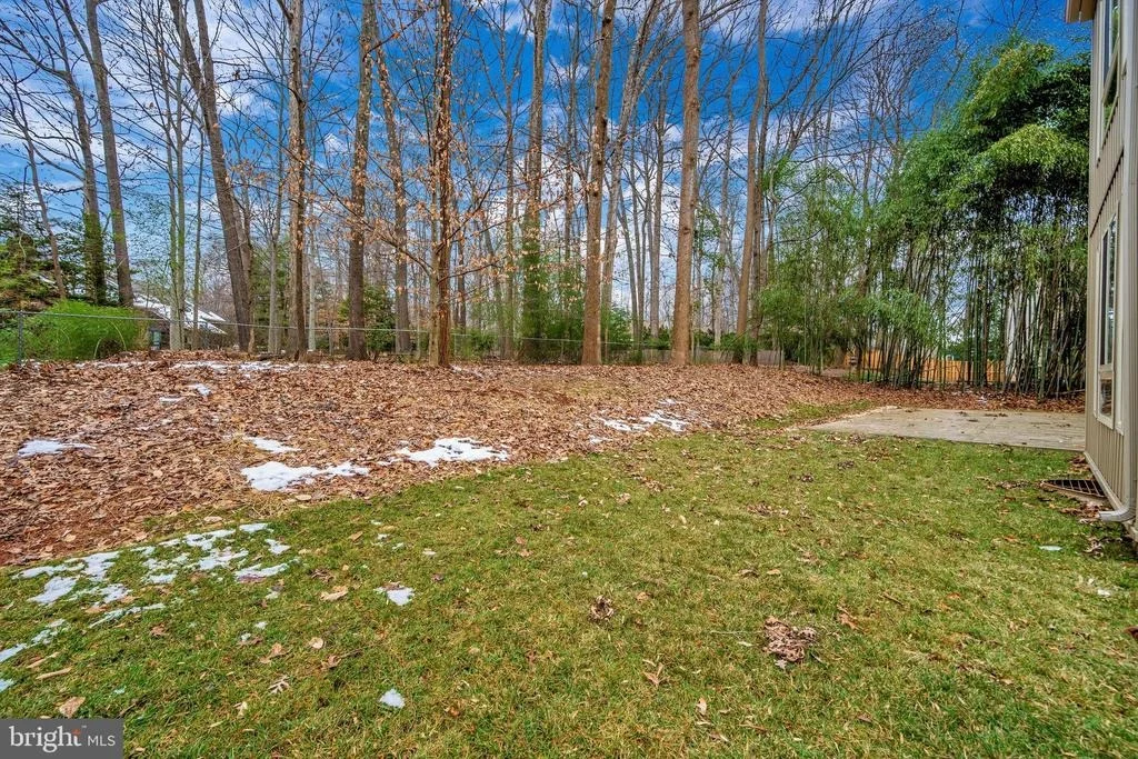 Photo of 10402 GREAT ARBOR DRIVE