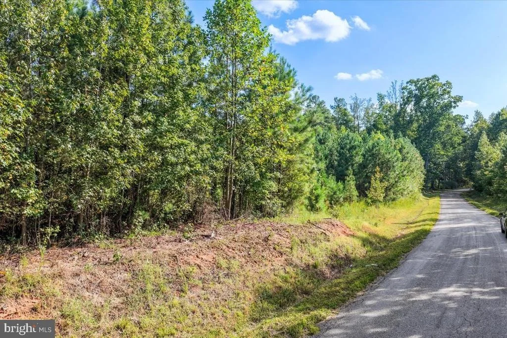 Photo of Lot 7 & 8 COUNTY POND ROAD